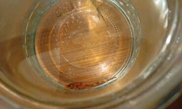 azerbaycanca pişik adlari: Salam! 1 şəkil -Akvarium - 35 manata 40 idi 2 şəkil -filtr - 16 — 9