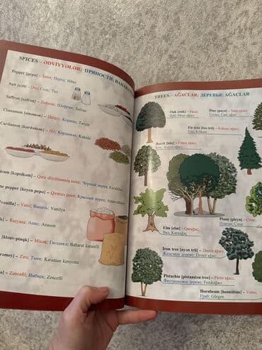 Книги и журналы: Python kitabı 45azn 30 günə rus dilini öyrədən kitab. + 2CD diski — 2