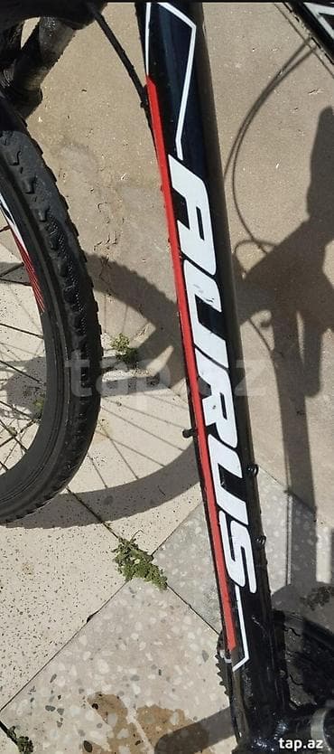 velosiped saft 29: 29 luq velosiped
Problemi yoxdu
Tekce rul ele 50 manata alinib — 4