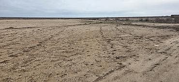 astara rayon: 12 sot, Mülkiyyətçi, Kupça (Çıxarış) — 5