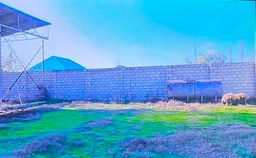 xacmaz rayonu: 12 sot, Kənd təsərrüfatı, Kupça (Çıxarış) — 21