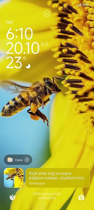 qedimi balta: Bal — 8