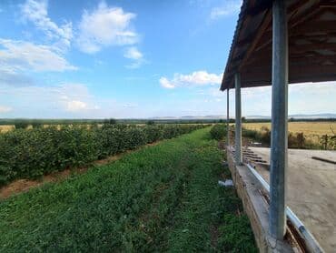 купить дом в баку хырдалан: 27 соток, Для сельского хозяйства, Собственник, Купчая, Техпаспорт — 1