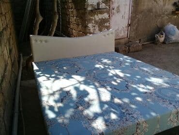 tek kravat gence: Kravat iki neferlik
Tezedir hazirlari var whatsapp var — 5