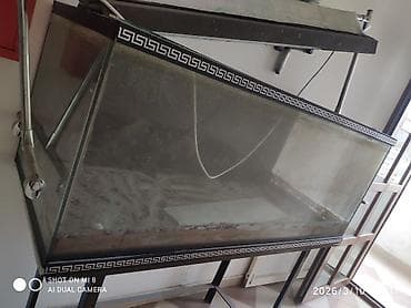 akvaryum aksesuarları: Dördbucaq akvarium, Boş, 500 l, Ünvandan götürmə — 4