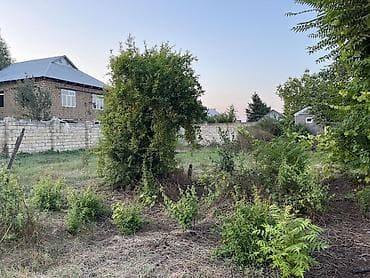 Masalli rayonu Qasimli kendi mektebin yanina az qalmis heyat evi — 6