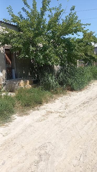 Zabrat1 qəsəbəsində anbar və istehsalat təyinatlı obyekt kirayə — 4