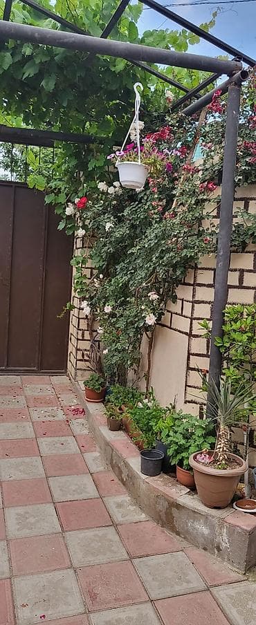 salyan ev: Binəqədi qəs. 4 otaqlı, 100 kv. m, Kredit yoxdur, Yeni təmirli — 4