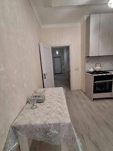 mingecevir mebel: Mənzilin təsviri - Geniş, işı.qlı dəhliz: Uzun koridor, tavan — 4