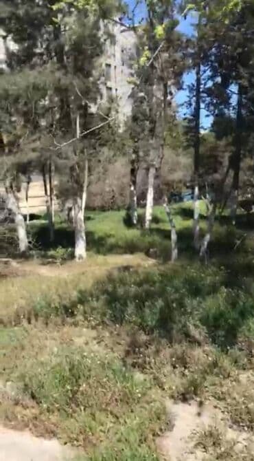 ev masazir: 12 sot, Makler, Kupça (Çıxarış) — 4