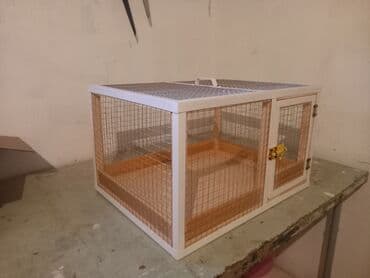 bildirçin yuvası: Dovşan,hamster,şinşila,bildirçin,cücə,xamyak,pişik,quş ve s kimi ev — 2