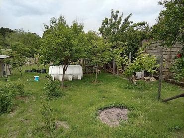 torpaqlarin satisi: 5 sot, Kənd təsərrüfatı, Mülkiyyətçi, Kupça (Çıxarış) — 10