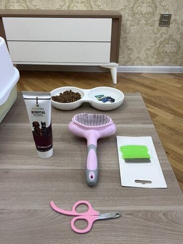 Akvarium aksessuar və ləvazimatları: Yaxşı əllərə — 4