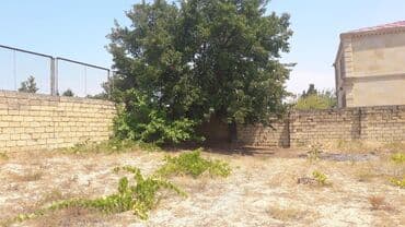 sabuncu qəsəbəsi: 32 sot, Kənd təsərrüfatı, Maklerlər narahat etməsin, Kupça (Çıxarış) — 8