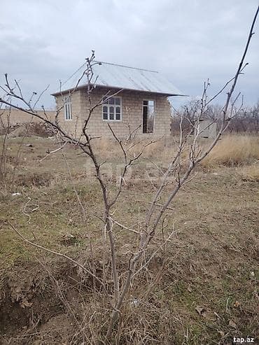 42 sot lalafo.az -da 42 sot