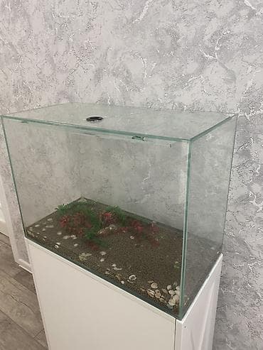 gence akvarium: Dördbucaq akvarium, Boş, 90 l, Ünvandan götürmə, Ödənişli çatdırılma — 4