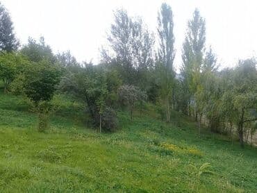 qara qarayev ev: 12 sot, Kupça (Çıxarış) — 13