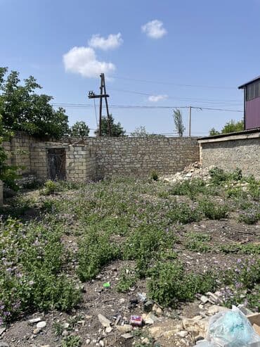 qara qarayev kiraye evler 2020: 6 sot, Tikinti, Mülkiyyətçi, Bələdiyyə — 1
