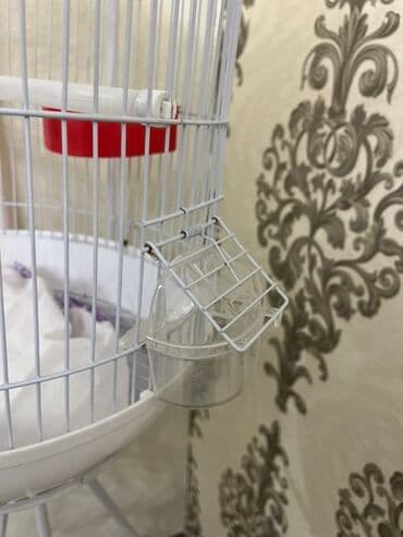 Heyvanlar üçün mallar: Ağ rəngli asılqanlı quş qəfəsi - Dairəvi, günbəz formalı metal — 4