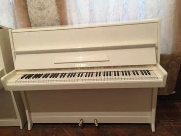 piano petrov: Pianino PETROF Cexya stehsalı. Ideal vəziyyədə. Cadırılma və köklənmə — 1