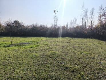 torpağ sahəsi: 20 sot, Tikinti, Mülkiyyətçi, Kupça (Çıxarış) — 10