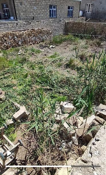 2 sot, Tikinti, Mülkiyyətçi, Kupça (Çıxarış) — 1