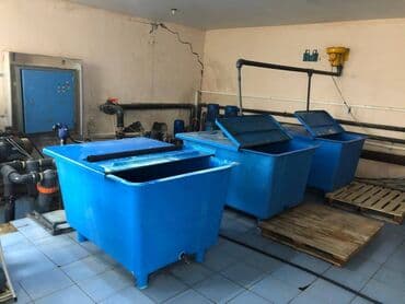 hovsanda obyekt satılır: Zirə Kəndi, 10 hektar sahəsi olan parnik satılır. 5 hektar yarım — 8