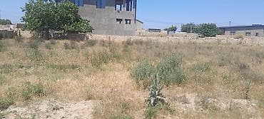 yeni gunəsli: 11 sot, Tikinti, Kupça (Çıxarış) — 3