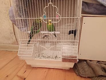 ilan oyuncaq: Dalmatinka üçün quş qəfəsi və aksesuarlar - Rəng: ağ metal — 2