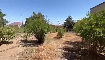 Tikinti, Mülkiyyətçi, Kupça (Çıxarış)