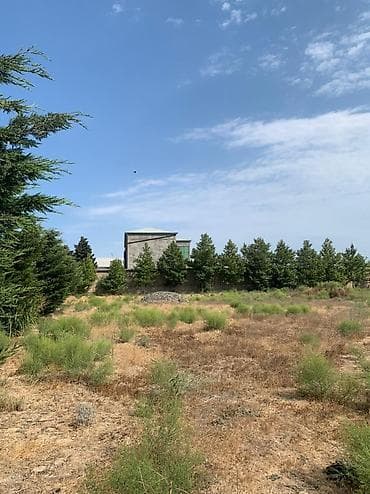 tecili ev satilir 2020: 37 sot, Maklerlər narahat etməsin, Kupça (Çıxarış) — 1