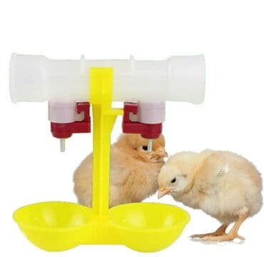 cuce dami: Yem qabı, Su üçün, Quşlar üçün, Ünvandan götürmə, Rayonlara çatdırılma, Ödənişli çatdırılma — 10