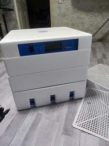 Tam avtomat — 1