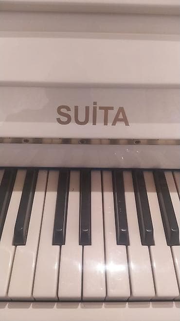 piano belarus: Piano, Akustik, Yeni, Pulsuz çatdırılma — 3