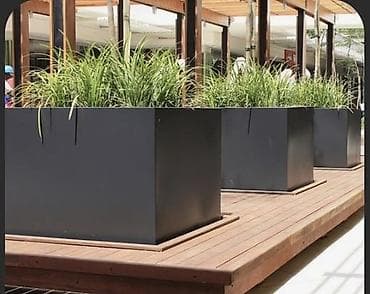 gül buketleri 2019: Dibcekler — 10