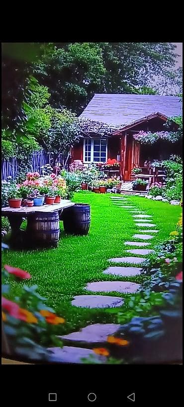 İstrahət mərkəzi, bağ, Restoran, yay kafe və terrace,çay evi, pub