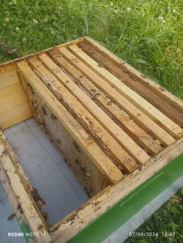 дистиллированная вода баку: Мёд — 5