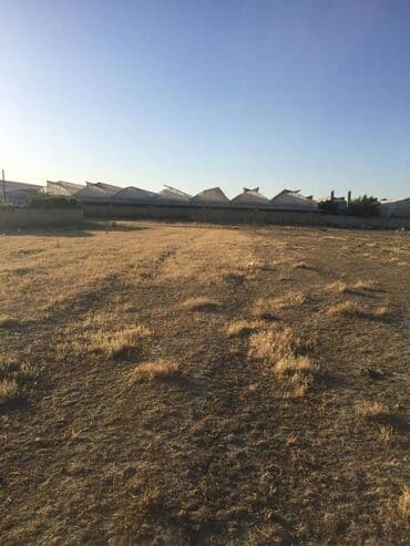 ucuz hotel: Biznes üçün, Mülkiyyətçi, Kupça (Çıxarış) — 2