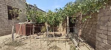 evler satiq: 6 otaqlı, 200 kv. m, Kredit yoxdur, Təmirsiz — 4