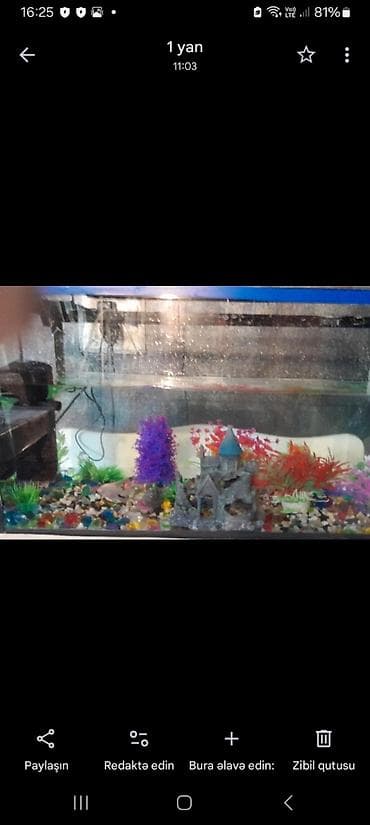 Akvaryum dəsti - Şüşə akvaryum, yuxarıdan qapaqlı konstruksiya -