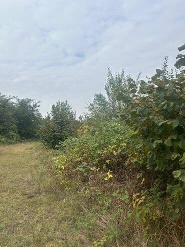 qubada torpaq satilir 2020: 110 sot, Tikinti — 2