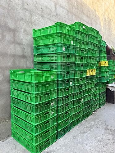 1ri 2.50 reyal alcı yasın tek tek satılmır