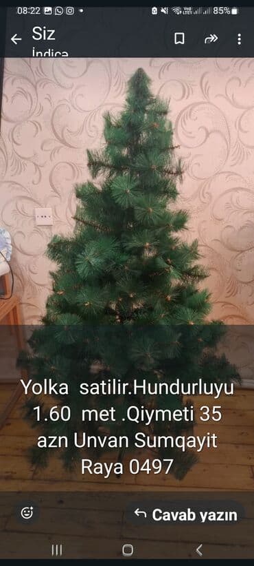 Süni güllər: Yolka — 2