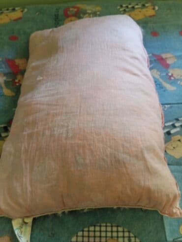 Yuxu üçün Sadə Lələk, tük Yastıq lalafo.az -da Yuxu üçün Sadə Lələk, tük Yastıq