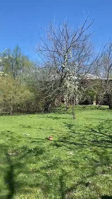 cepis satisi: 5 sot, Tikinti, Mülkiyyətçi, Kupça (Çıxarış) — 4