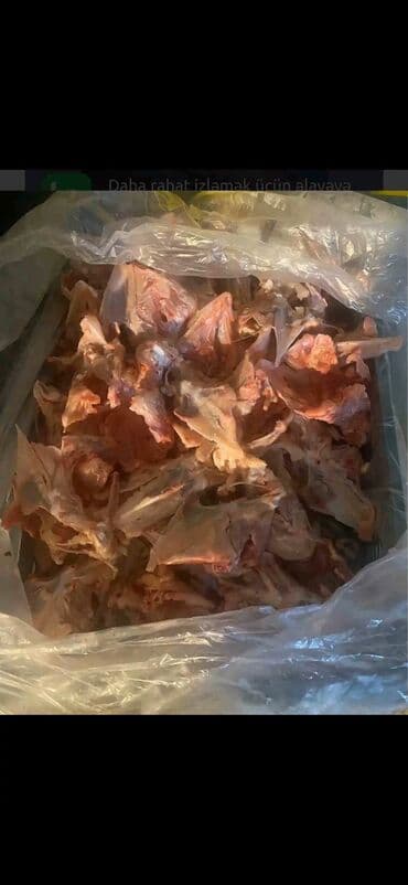 Мясо: Toyuq cəsədi və hissələri. Təzə kəsilmiş və soyudulmuş toyuq — 4