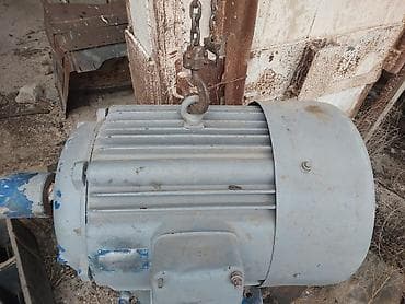 604 mator: Audi 7351480, 5 l, Elektrikli, 2021 il, Orijinal — 1