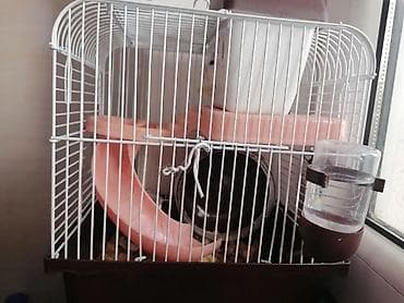 колесо для хомяка: Qablaşdırılmış hamster üçün tam dəst qəfəs - Kompakt ölçülü, ağ metal — 2