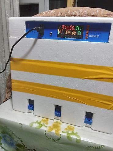 İnkubatorlar: Yumurta inkubatorları – tam avtomatik idarəetmə paneli ilə yenidirler — 2