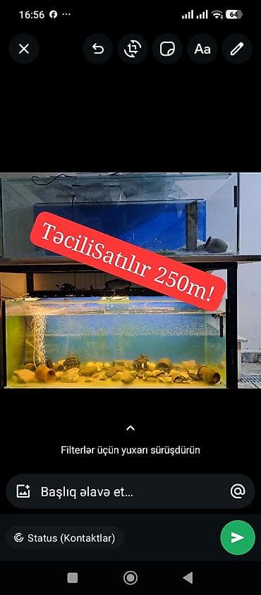 teze bazar akvarium: Şəkildə qeyd: “Təcili Satılır 250 m!2ədəd Akvarium 400lt lik 1ədəd — 1